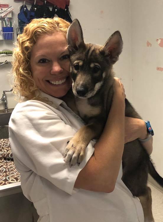 Dr. Dog veternarian-dr-scott-with-adorable-puppy-stringtown-animal-hospital