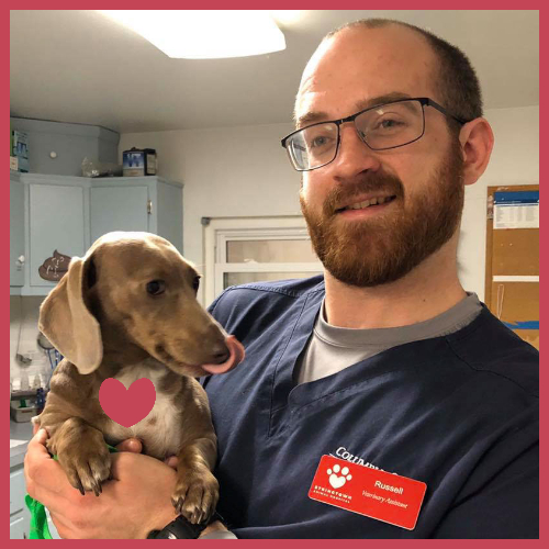 Dog with Heart Square 2 Dog-with-vet-tech-stringtown-animal-hospital