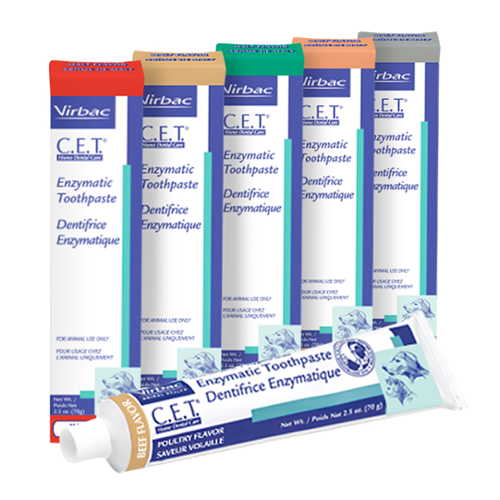 CET-toothpaste-image