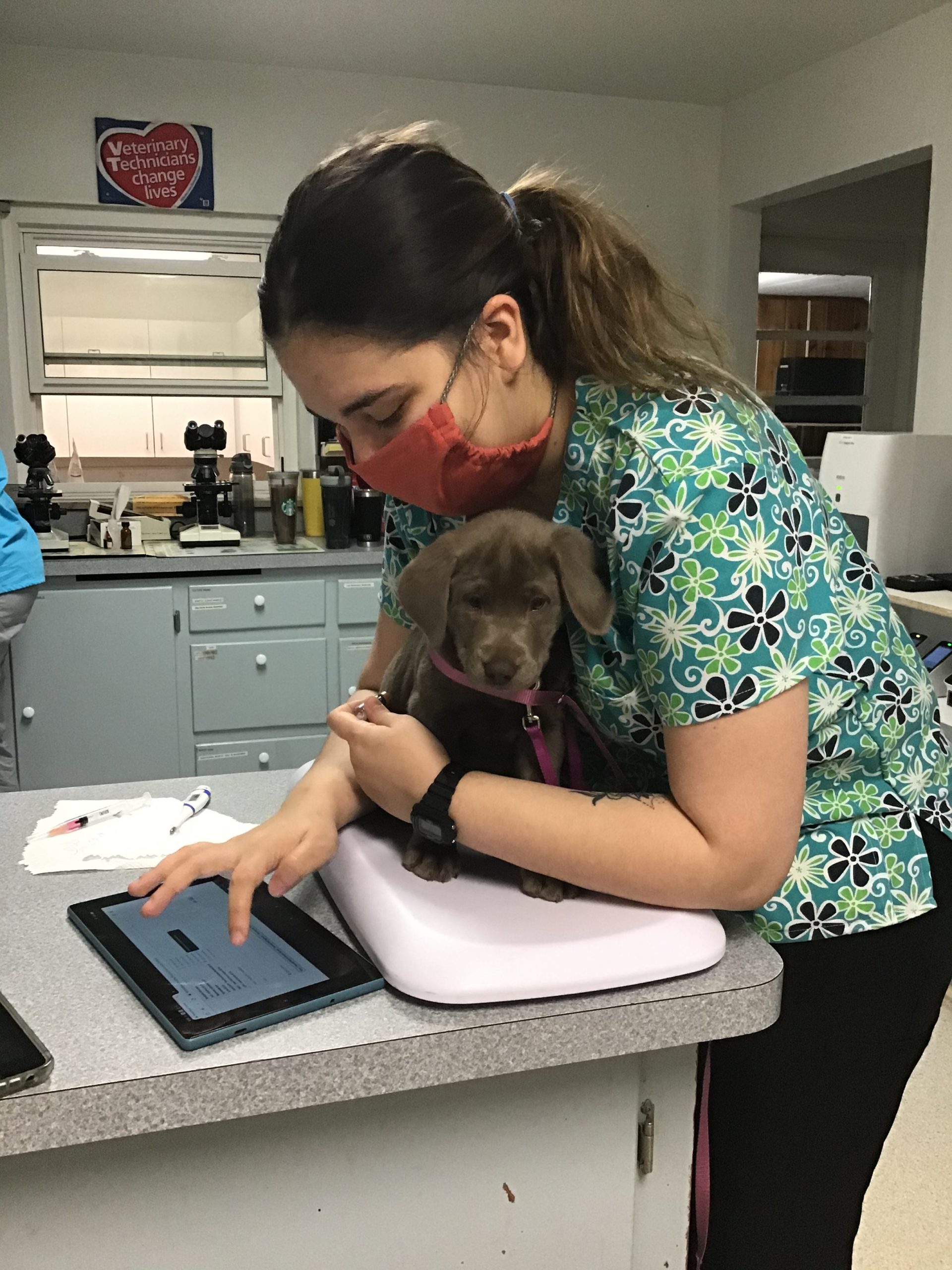 1F67EEB8-B054-4BC7-B5C5-2B6A517F126E stringtown-animal-hospital-vet-tech-with-adorable-brown-puppy-with-floppy-ears