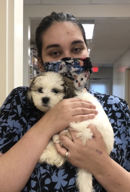 stringtown-animal-hospital-vet-tech-with-white-fluffy-puppy