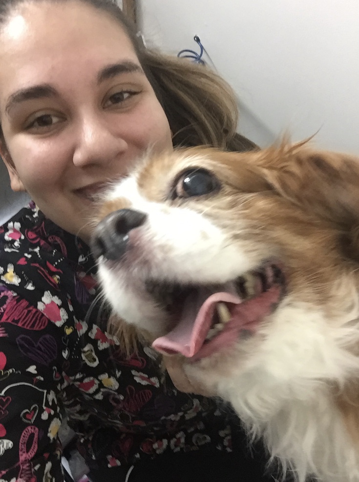 Senior dog smiling with vet tech