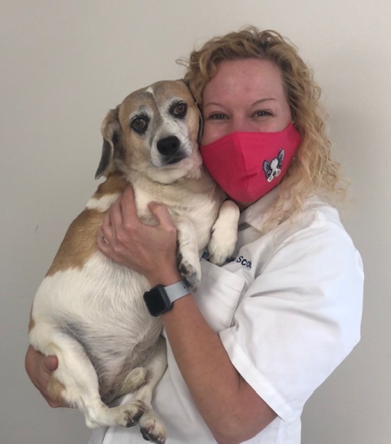 Dr. Scott with beige and white senior pup