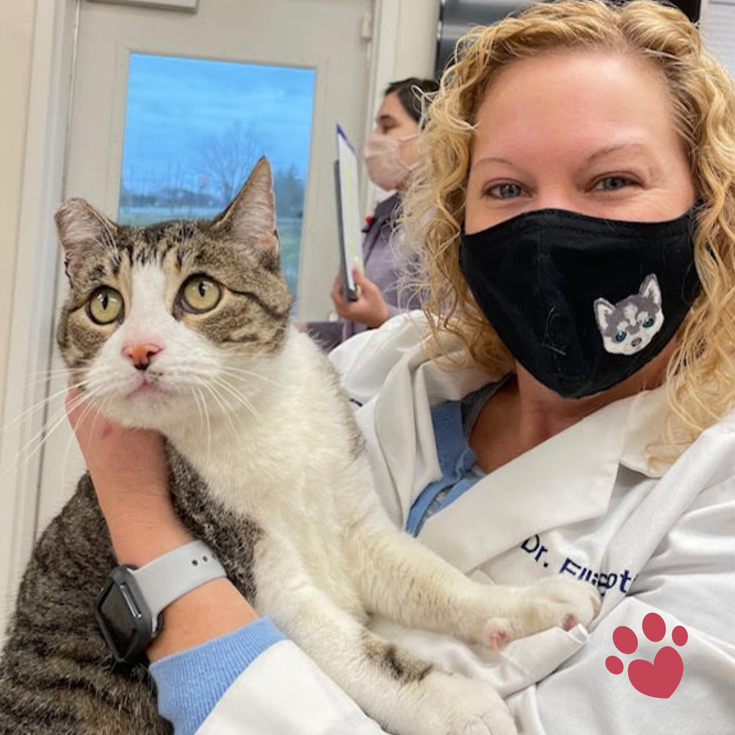 Stringtown Animal Hospital-cat with doctor