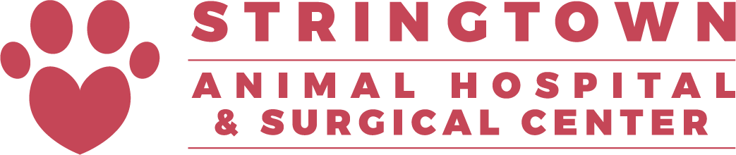 www.stringtownanimalhospital.com