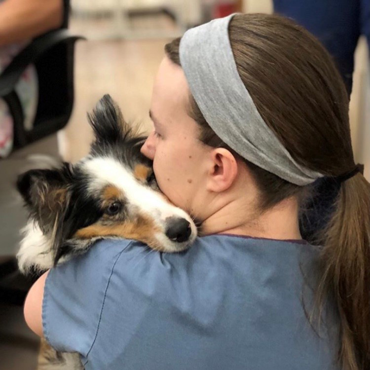 Stringtown Animal Hospita-vet tech cuddling a collie in the crook of her neck