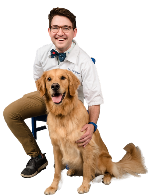 Dr. Dermot Hutchinson
