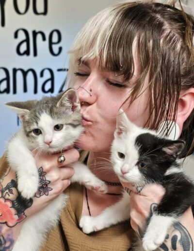 Vet Tech with Kitties