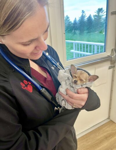 Doctor with Small Canine Patient