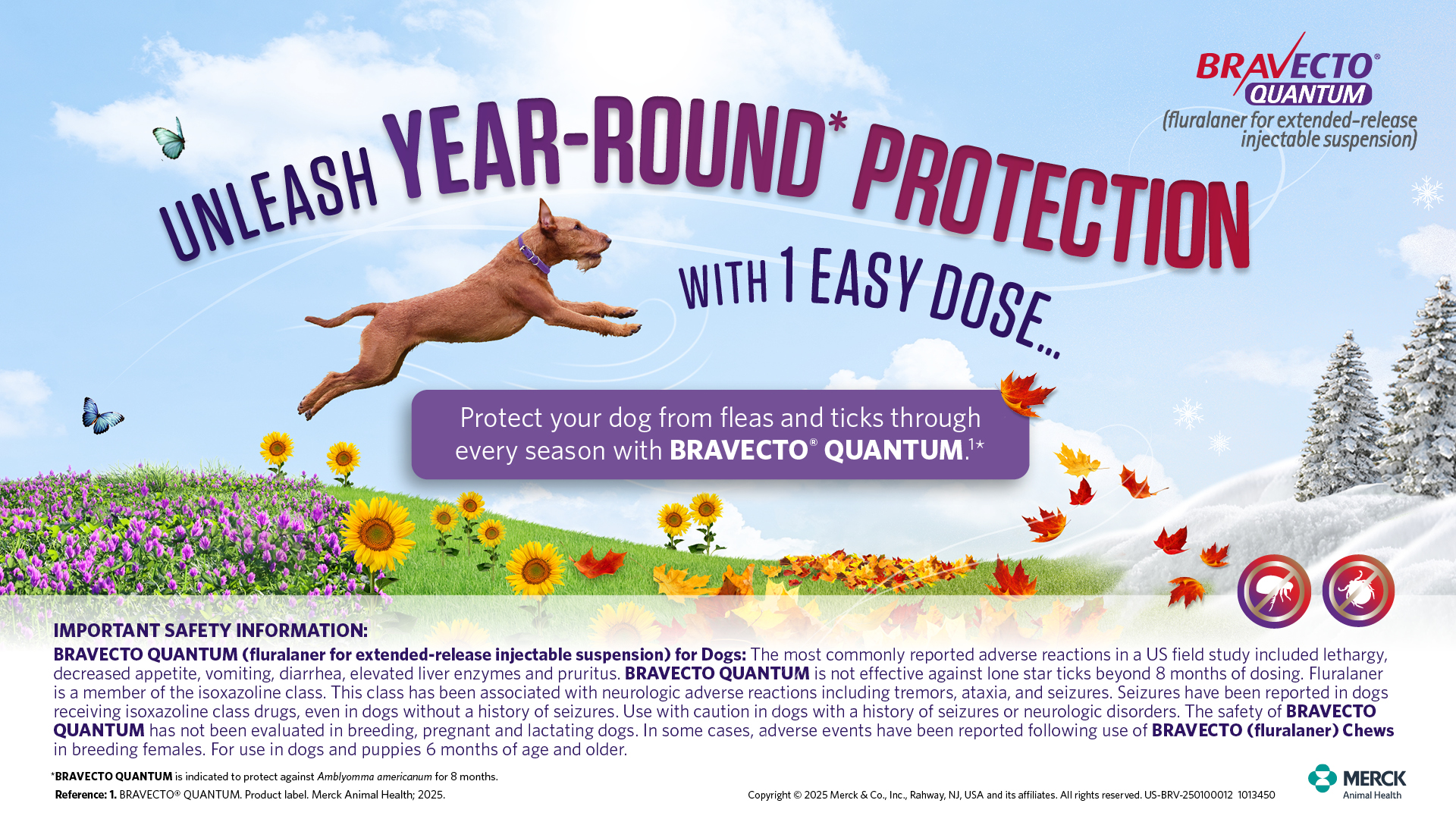 Proheart 12 Heartworm