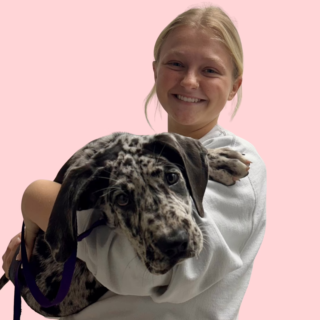 Vet Assistant with Big Puppy