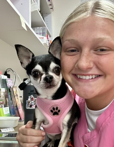 Vet Assistant with Small Dog