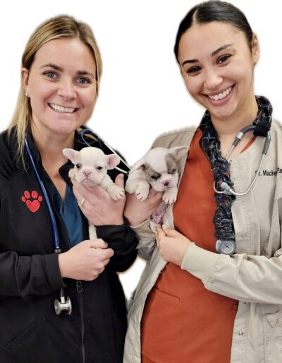 Doctors with Puppies