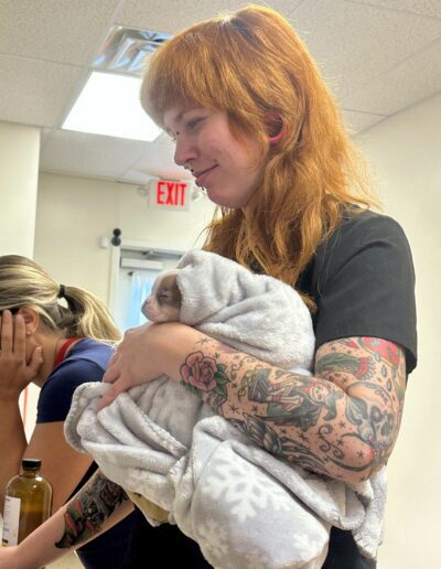 Veterinary Staff with Small Patient in Blanket