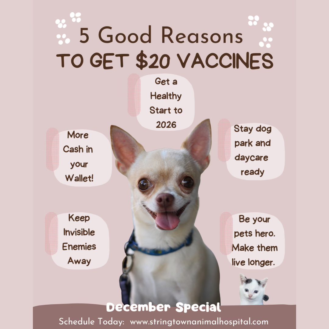 $20 Vaccines December 2025
