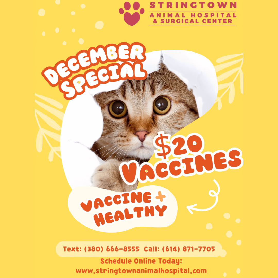 $20 Vaccines December 2025