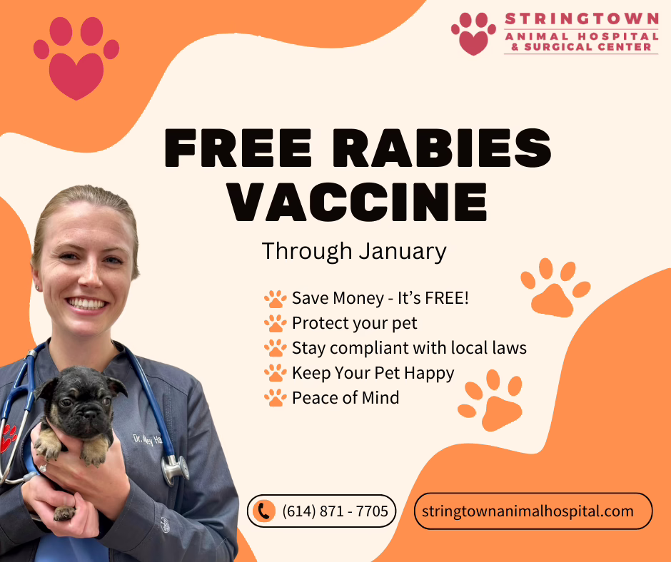 Free Rabies Vaccine