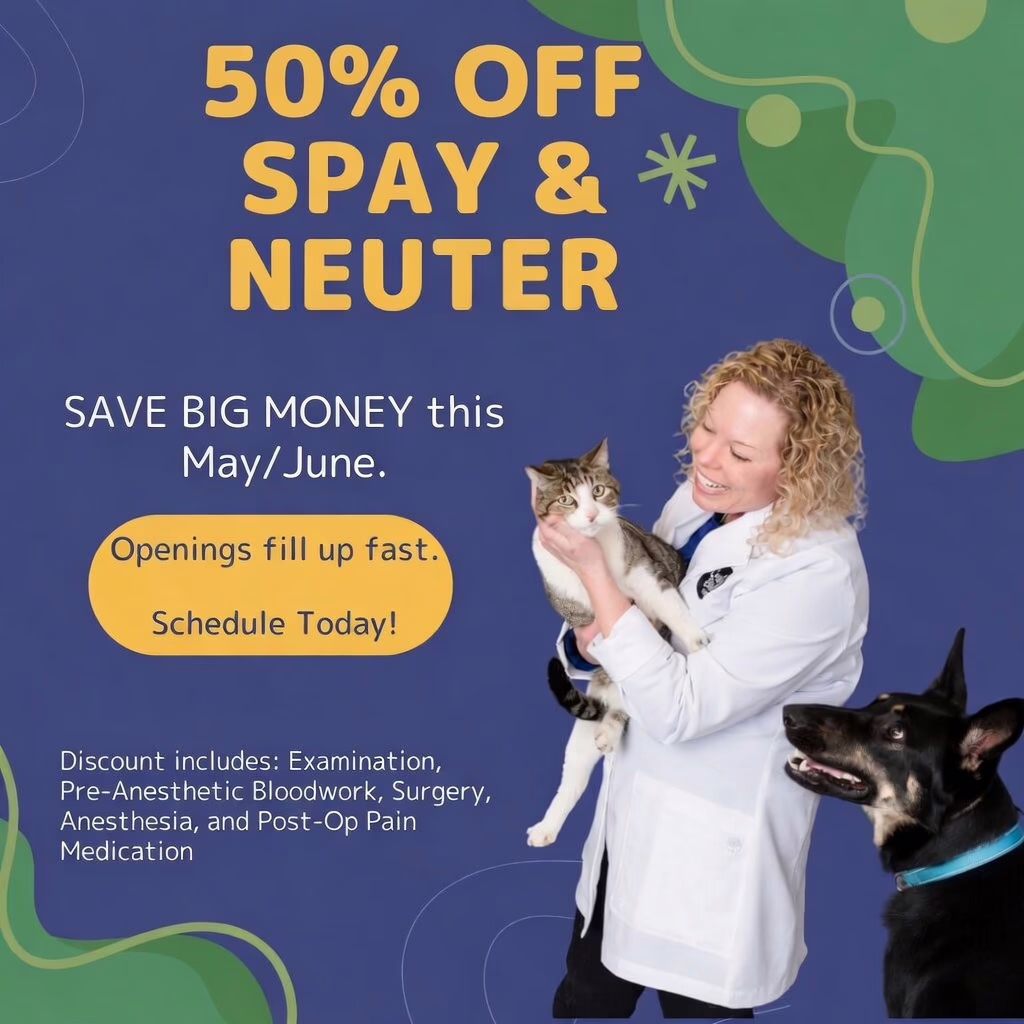 50% Off Spay/Neuter May/June