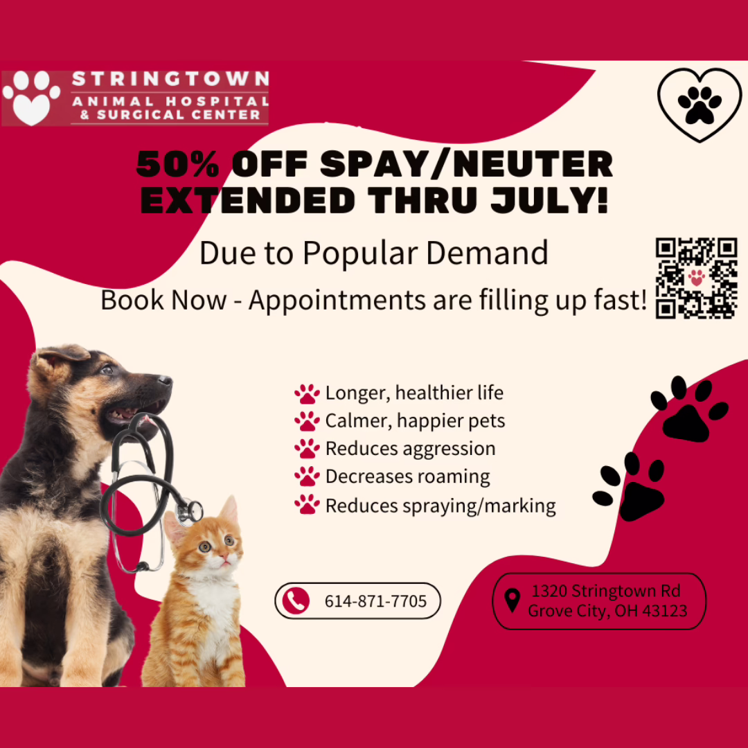 Spay Neuter Promo Spay Neuter Promo