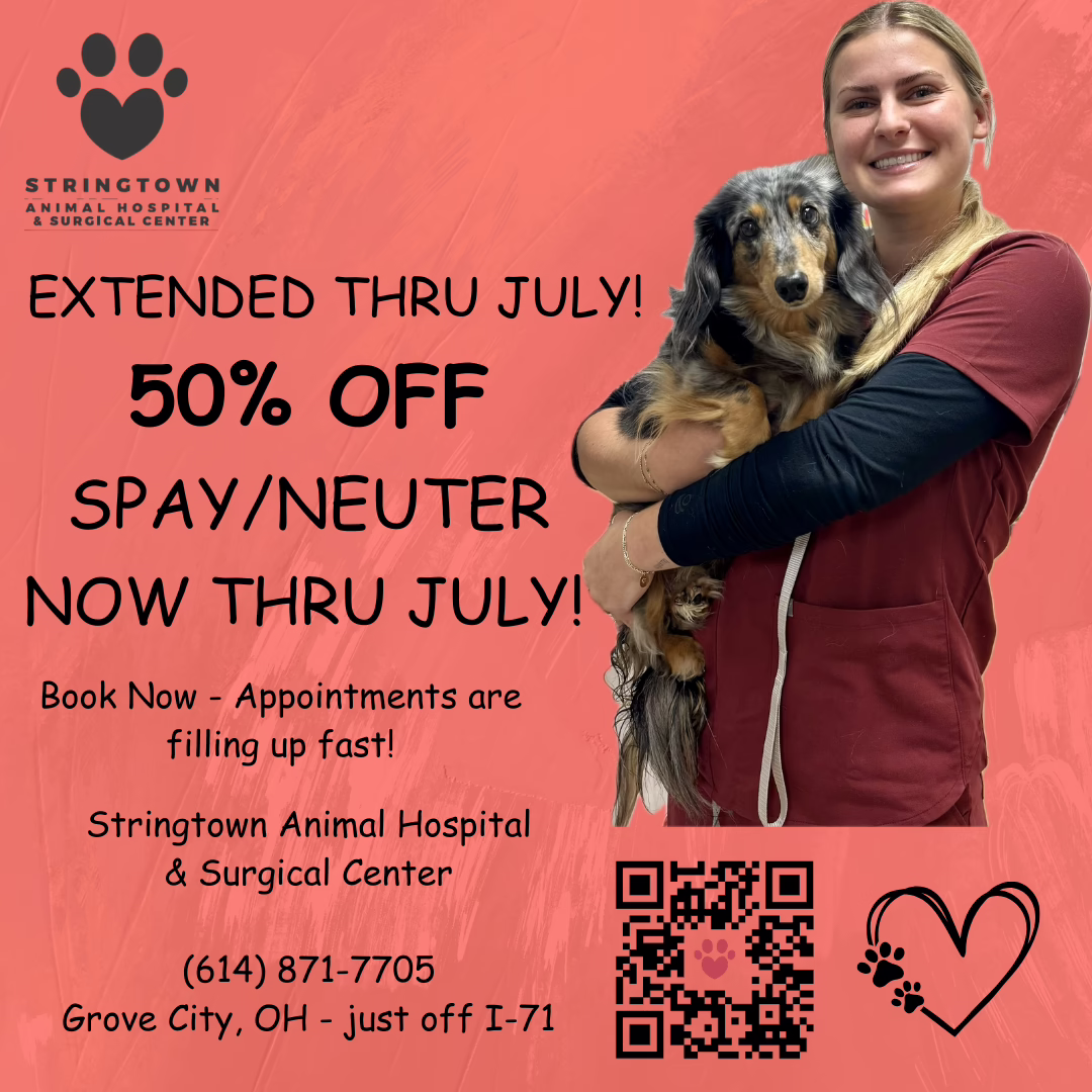 Spay Neuter Promo Spay Neuter Promo