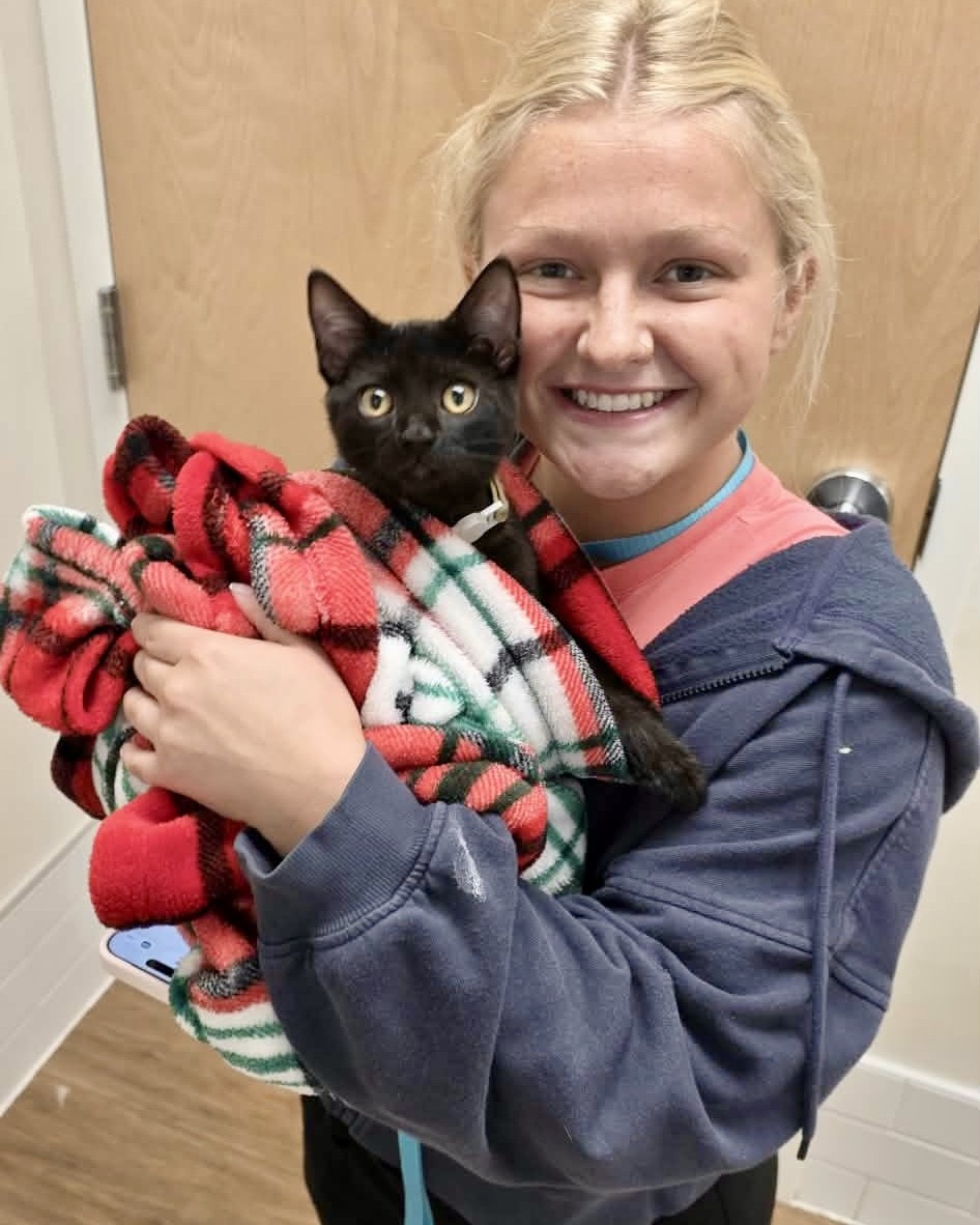 Staff with cat Staff with cat