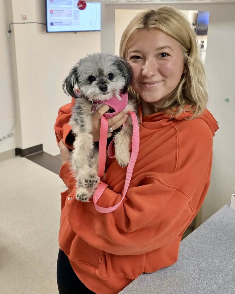 Staff with dog Staff with dog