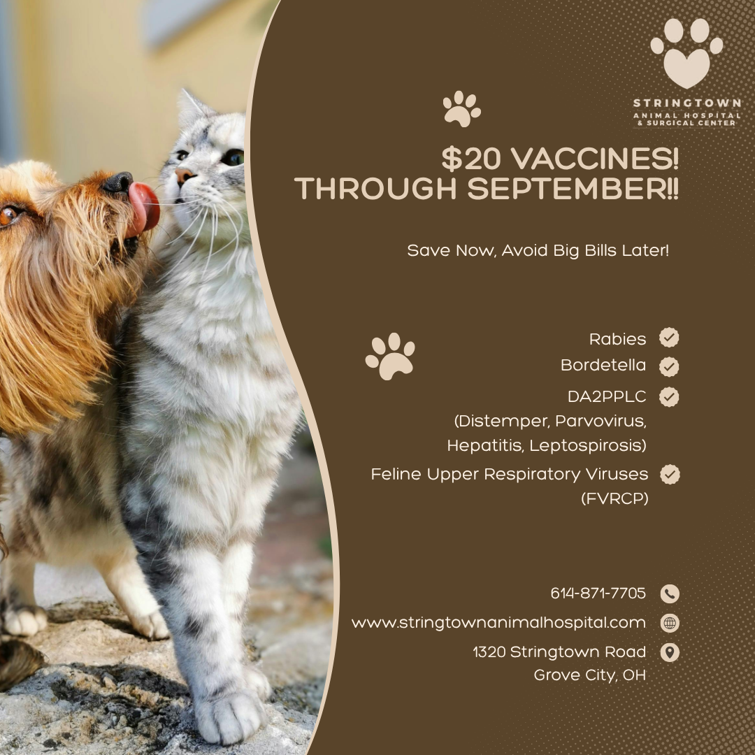 Book Now $20 Vaccine Special