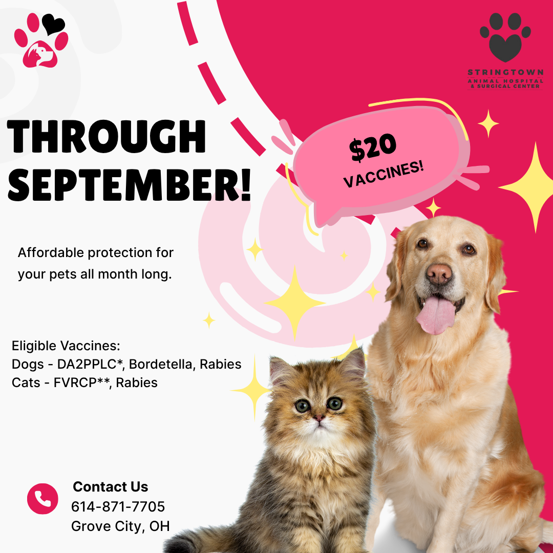 Book Now $20 Vaccine Special