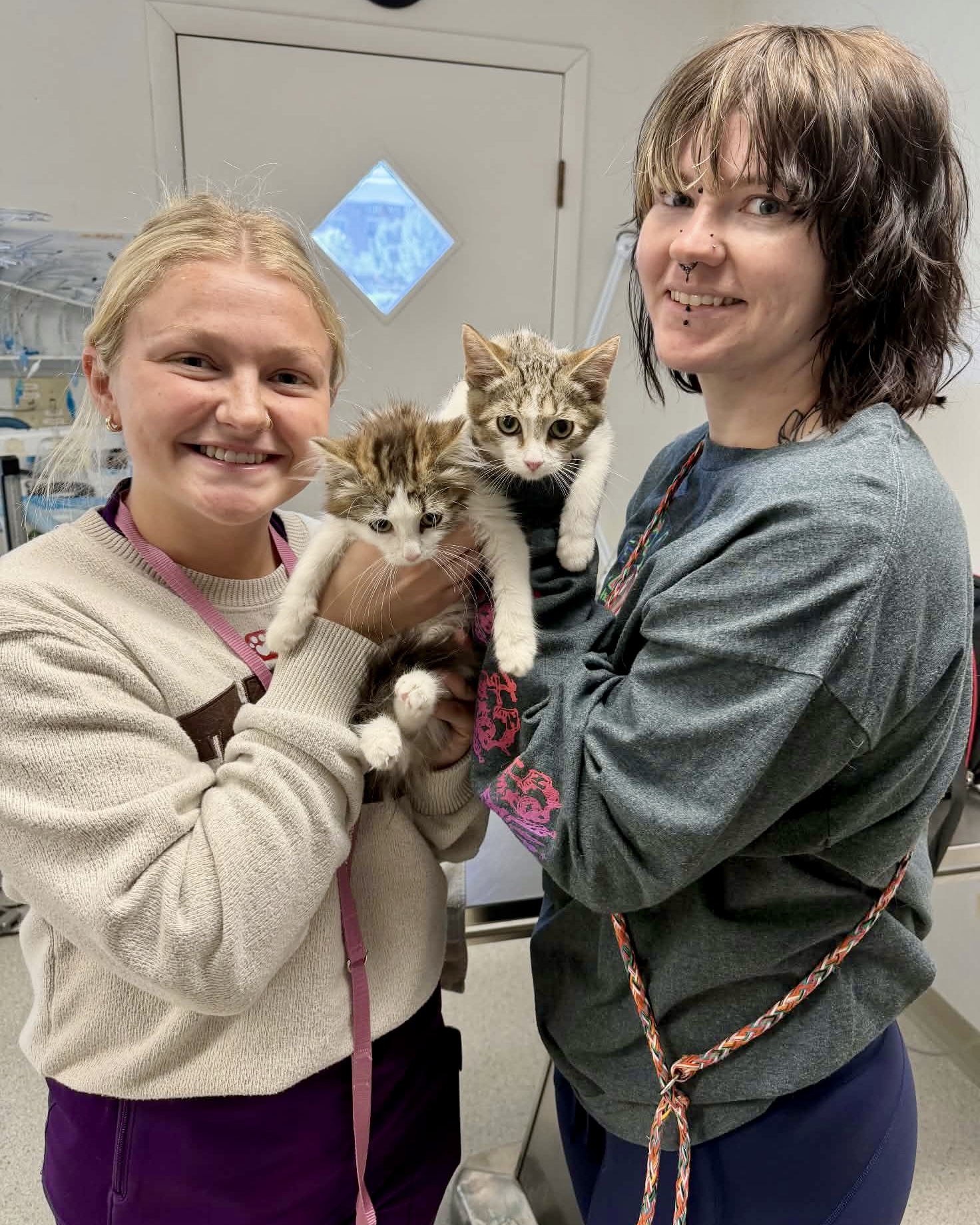 Staff with cats Staff with cats
