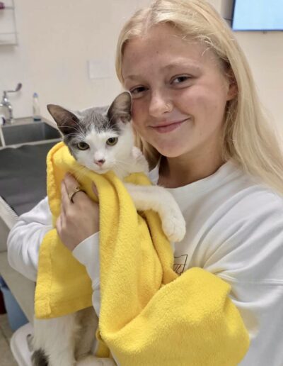 Staff with cat